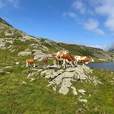 Σπίτι διακοπών L' Eef Cascina San Cassiano (Sondrio)