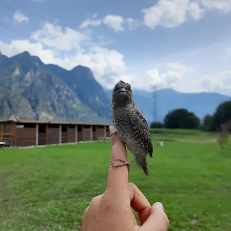 L' Eef Cascina San Cassiano (Sondrio)