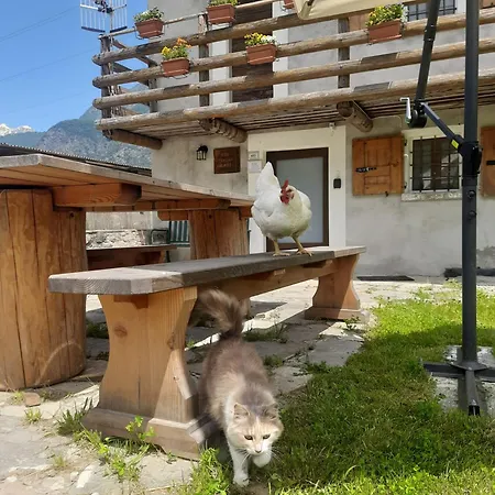 L' Eef Cascina *