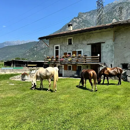 Σπίτι διακοπών L' Eef Cascina San Cassiano (Sondrio)
