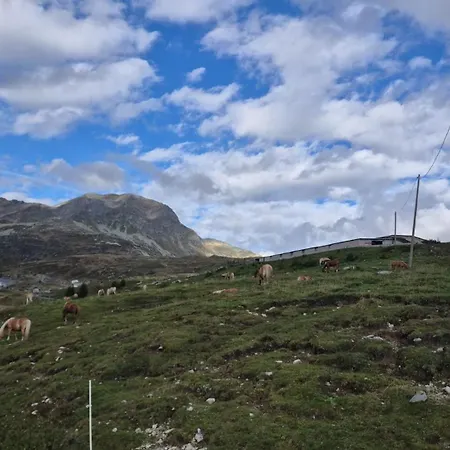 Σπίτι διακοπών L' Eef Cascina