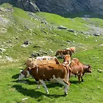 L' Eef Cascina Сasa de vacaciones San Cassiano (Sondrio)