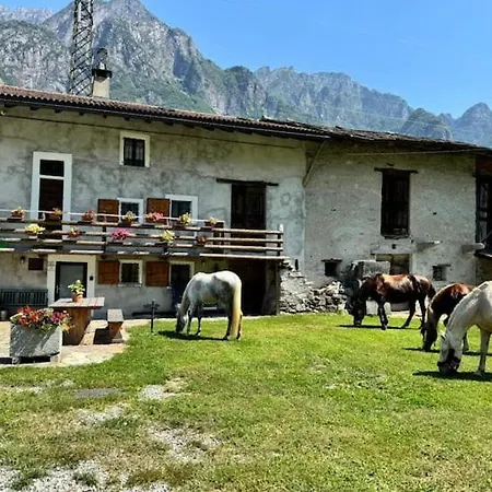 Casa vacanze L' èef Cascina *