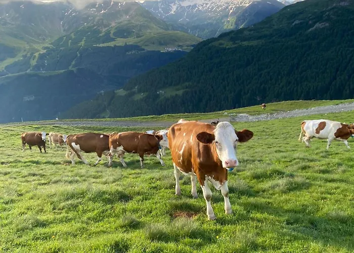 L' Eef Cascina San Cassiano (Sondrio)