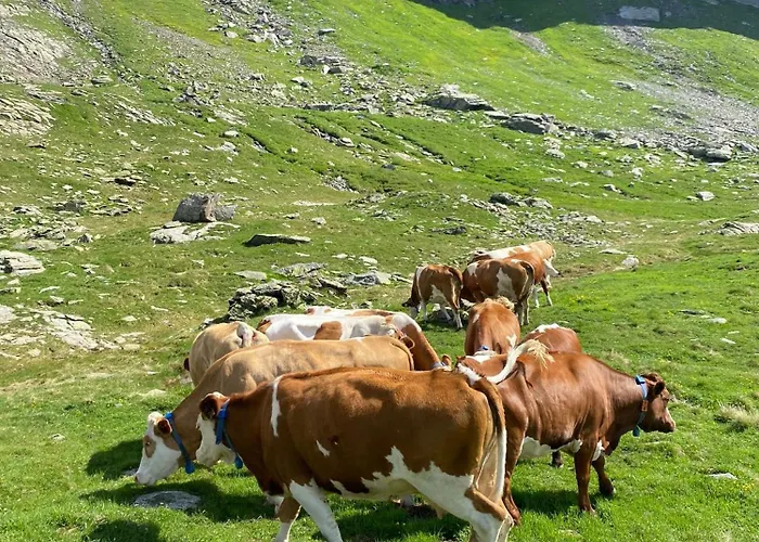L' Eef Cascina Vakantiehuis San Cassiano (Sondrio)