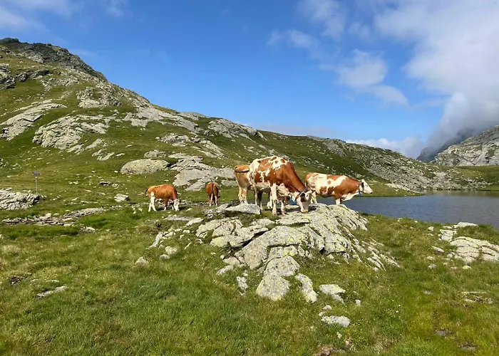 Vakantiehuis L' Eef Cascina San Cassiano (Sondrio)