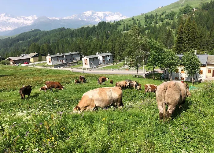Vakantiehuis L' Eef Cascina San Cassiano (Sondrio)