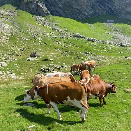 L' Eef Cascina Prázdninový dům San Cassiano (Sondrio)