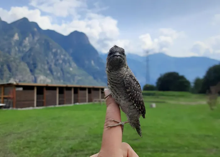 L' Eef Cascina San Cassiano (Sondrio)